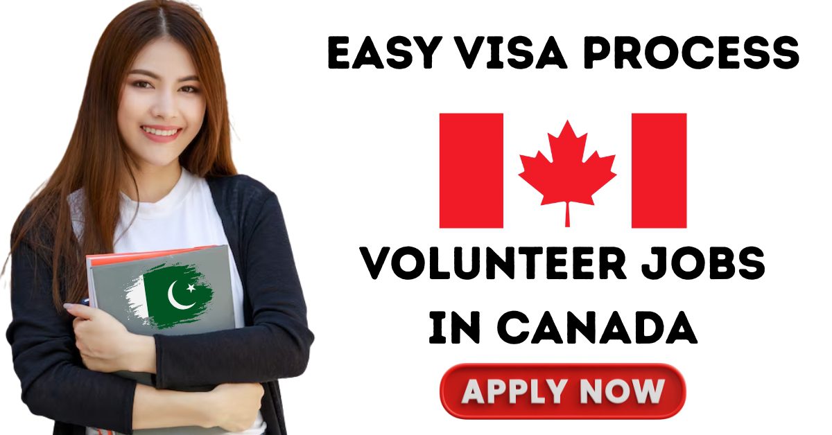 Pakistani applicant filling volunteer job application for Canada with visa support